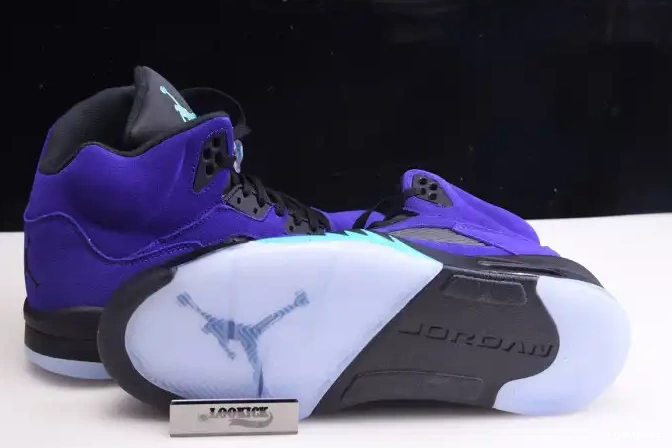 Grape 136027-500 Alternate 5 Retro Jordan Air 0509